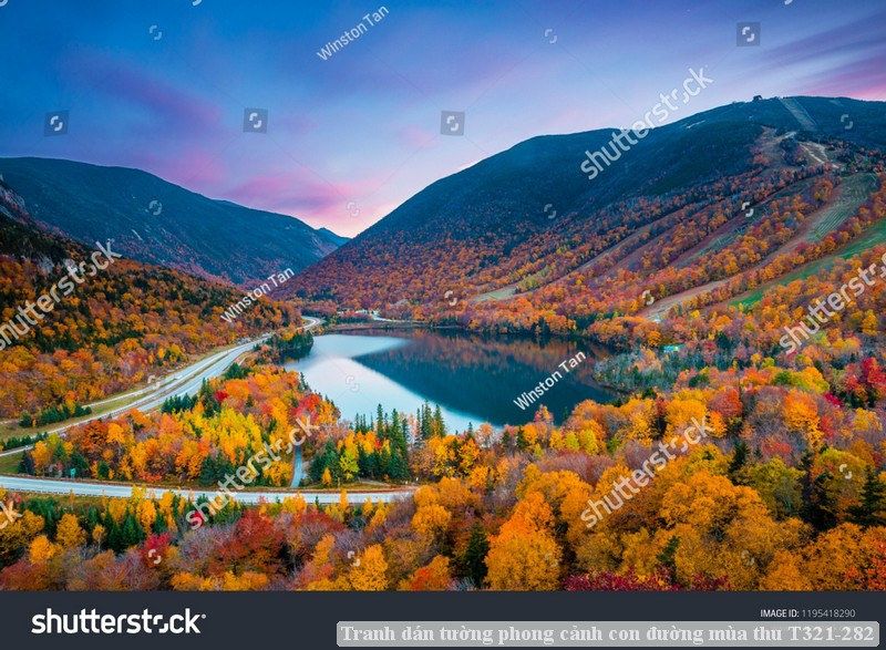 Tranh dán tường phong cảnh con đường mùa thu T321-282